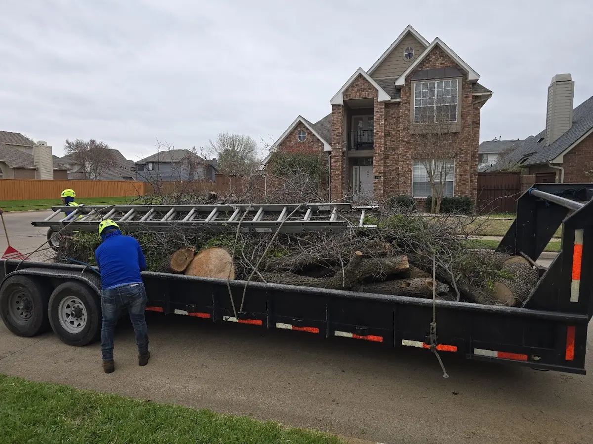 Expert Tree Removal with proper safety equipment in Gann Valley